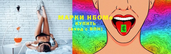 индика Дмитровск